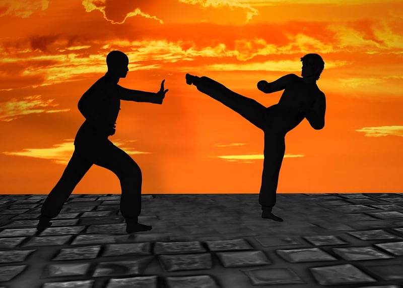 Kung Fu Silhouette