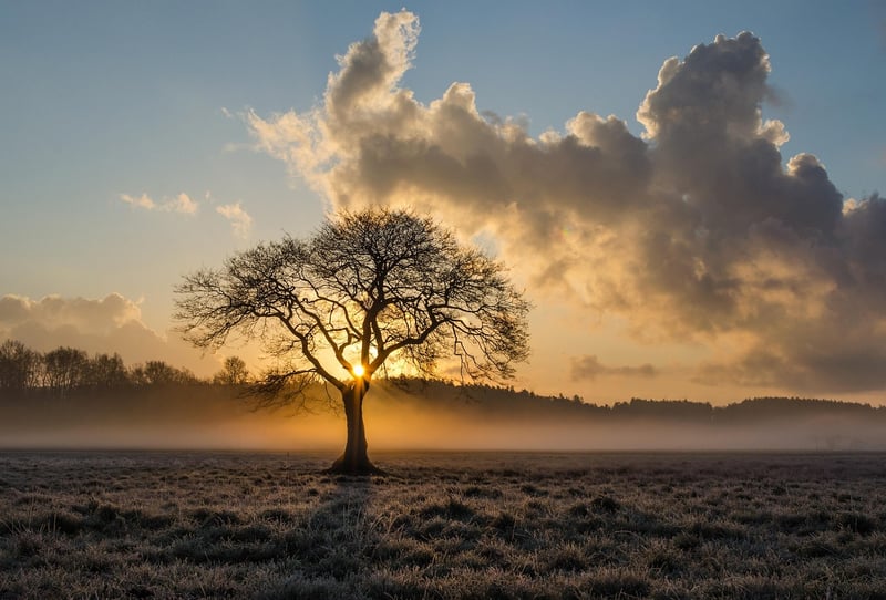 Breath Awareness Image